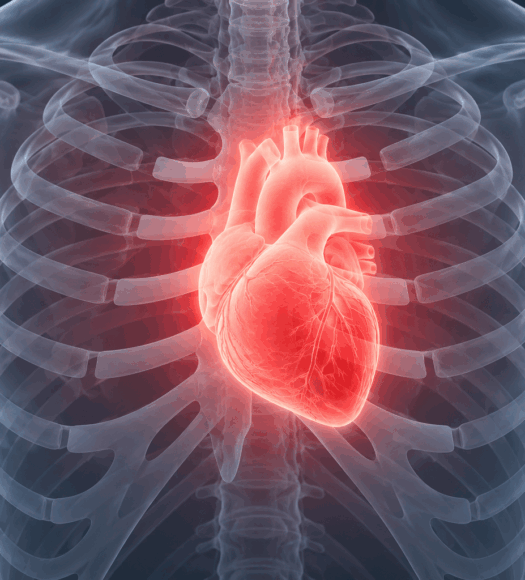 Consulenza cardiologica